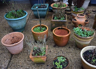 Lot 441 - A large group of terracotta plant pots.