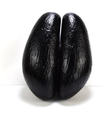 Lot 369 - A coco de mer with Seychelles Government...