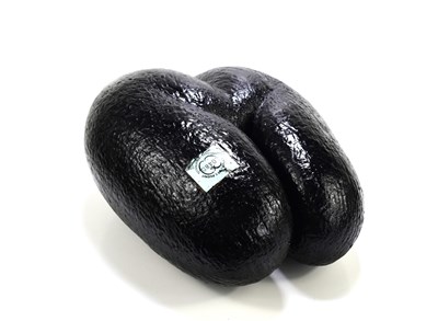 Lot 369 - A coco de mer with Seychelles Government...