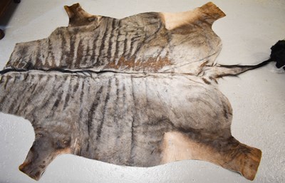 Lot 254 - A wildebeest hide rug.