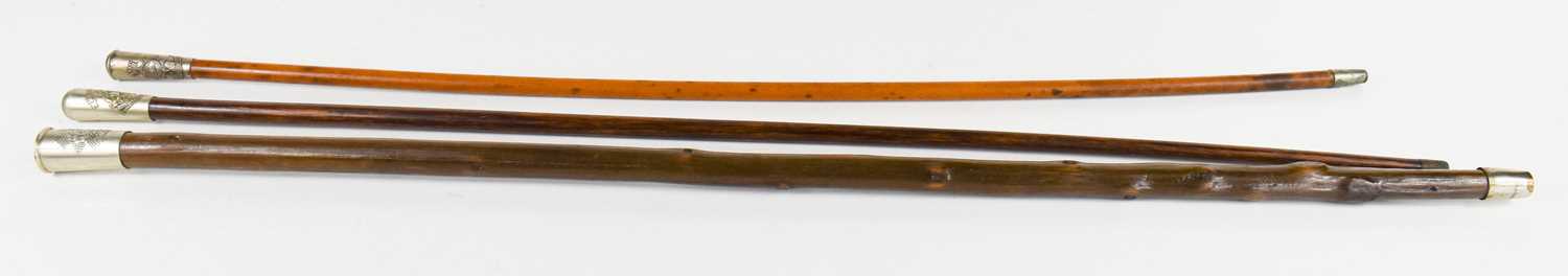 Lot 222 - Three antique swagger sticks: Worcestershire...