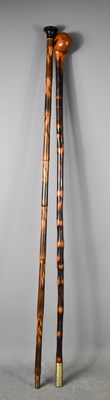 Lot 218 - Two vintage walking canes, one with bamboo...