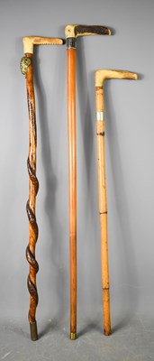 Lot 205 - Three vintage walking sticks with horn handles,...