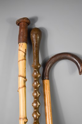 Lot 206 - Three vintage walking canes, one knotwood...