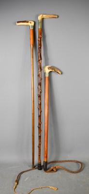 Lot 210 - Two antique walking canes and a horse whip,...