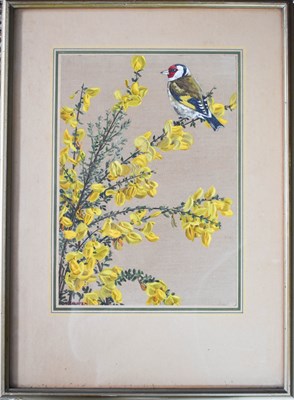 Lot 248 - D. V. Cowen (British 20th Century): goldfinch...