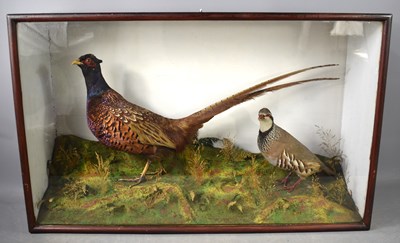 Lot 222 - A mahogany and glass cased taxidermy of a cock...