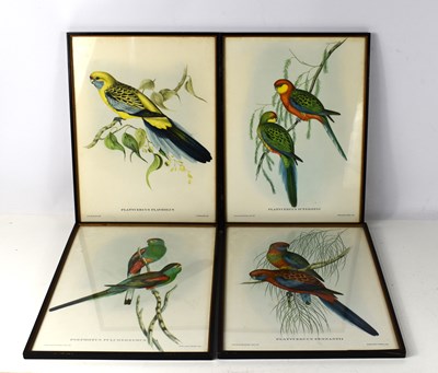 Lot 101 - A group of four prints of birds, with gallery...