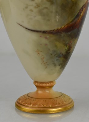 Lot 19 - A Royal Worcester ewer by JAS Stinton, with...