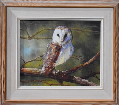Lot 76 - David Crane (British 20th century): Barn Owl,...