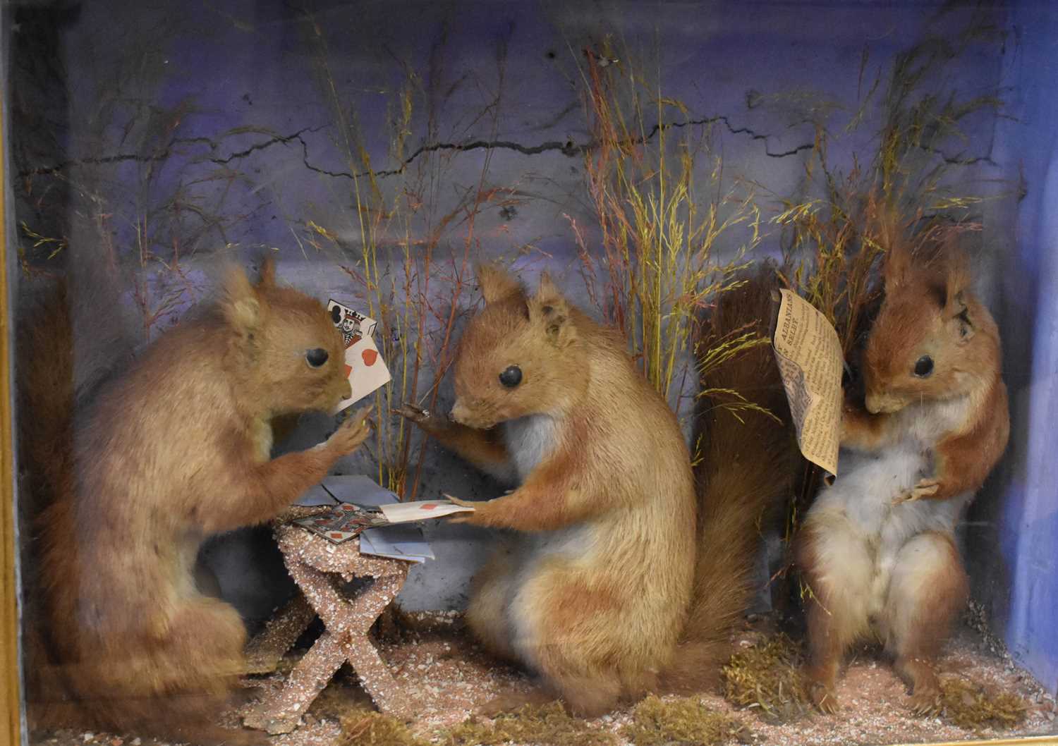 Lot 578 - A Victorian taxidermy diorama with three red...