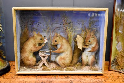 Lot 578 - A Victorian taxidermy diorama with three red...