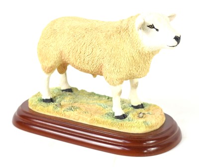 Lot 150 - Border Fine Arts model of a Texel Ram, on...