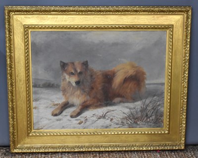 Lot 344 - Arthur James Stark (1831-1902): Husky in a...