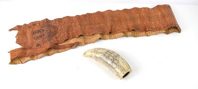 Lot 122 - A large cobra snake skin measuring 168cm...