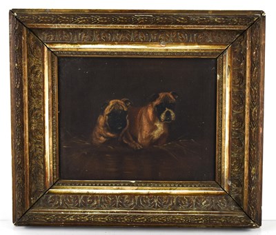 Lot 386 - An early 20th century study of Boxer dogs,...