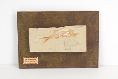 Lot 229 - An ancient fish fossil from the Byblos area,...