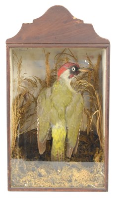 Lot 264 - An antique cased taxidermy of a green...