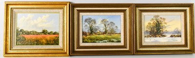 Lot 185 - Tony Malton (20th century): Three oil on...