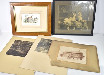 Lot 300 - A late 19th or early 20th century photographic...