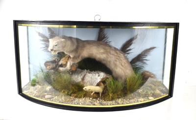 Lot 425 - A Barry Williams taxidermy of a male mink in...