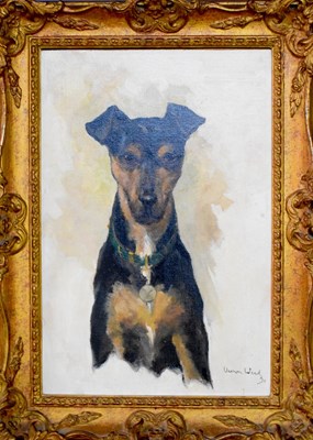 Lot 49 - A canine portrait of a Manchester terrier, oil...