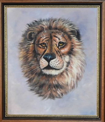 Lot 47 - Rex (20th century): study of a male lion, oil...