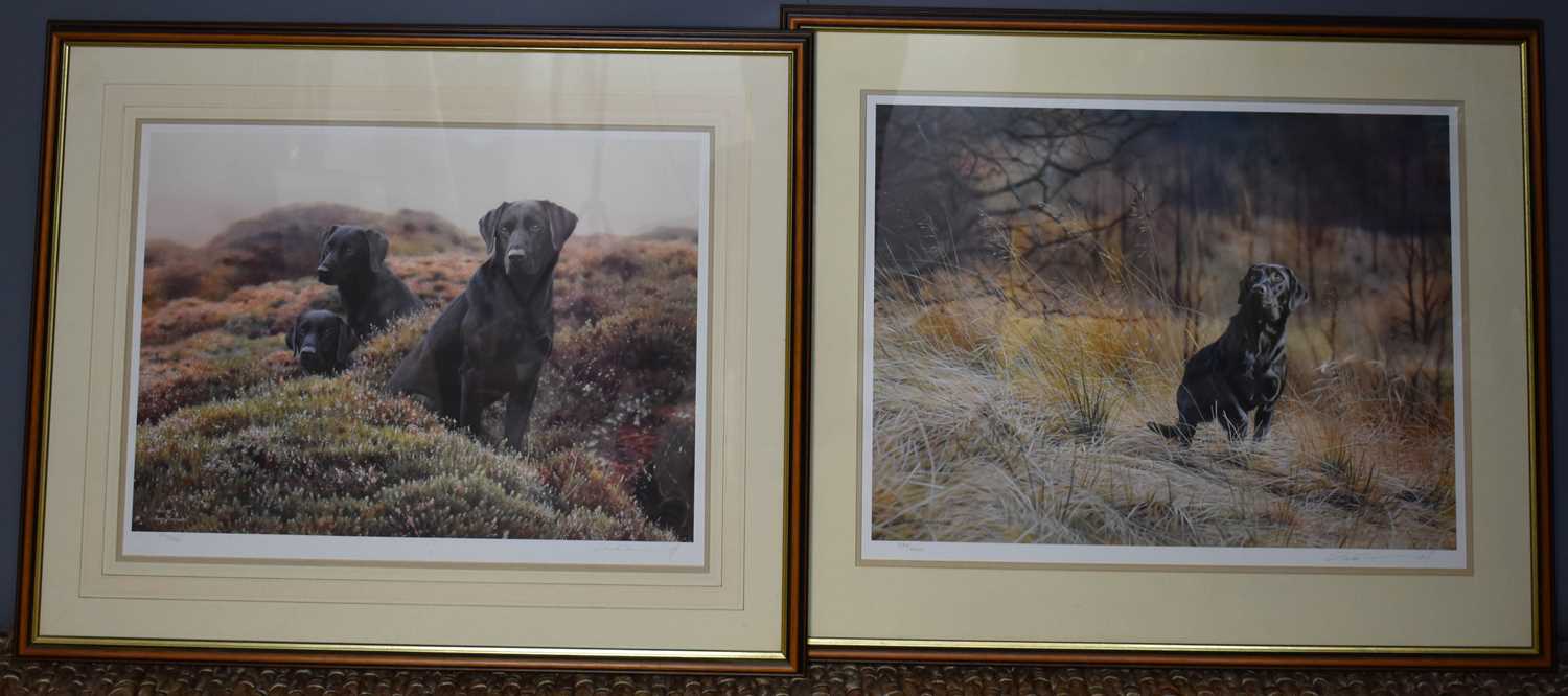 Lot 115 - Steven Townsend, two limited edition prints...