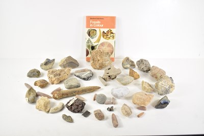 Lot 150 - A collection of fossils and rocks to include...