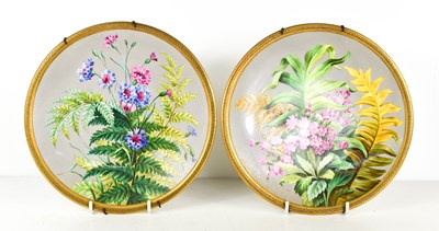 Lot 21 - A pair of fine porcelain hand painted plates...