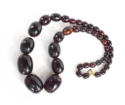 Lot 48 - A cherry amber beaded necklace, composed of...