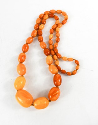 Lot 50 - A vintage butterscotch amber beaded necklace,...