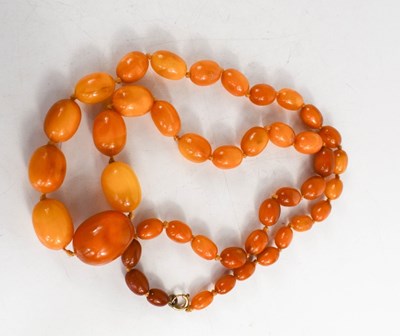 Lot 51 - A vintage butterscotch amber beaded necklace,...