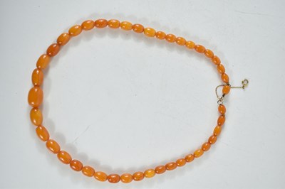 Lot 137 - A butterscotch amber bead necklace with...