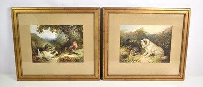 Lot 438 - A pair of George Amfield framed and glazed...