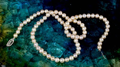 Lot 107 - A string of eighty two cultured pearls, of...