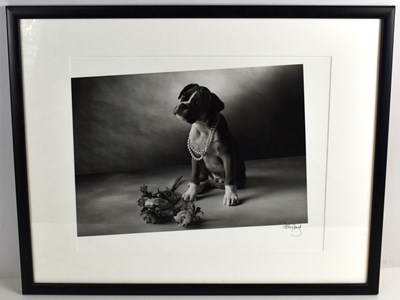 Lot 435 - Pattie Boyd (b1944): A photograph of a boxer...