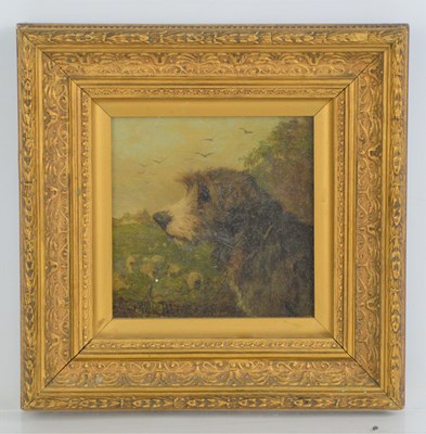 Lot 325 - A small study in oil of a Lurcher or Terrier,...