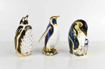 Lot 166 - Three Royal Crown Derby penguins: Galapagos...