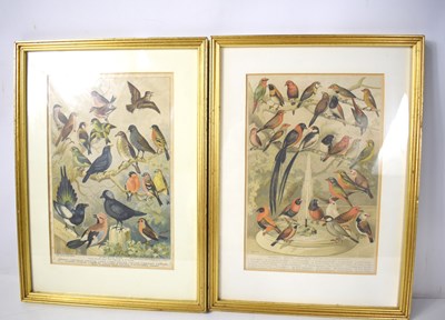 Lot 296 - A pair of framed and glazed A.F Lydon...