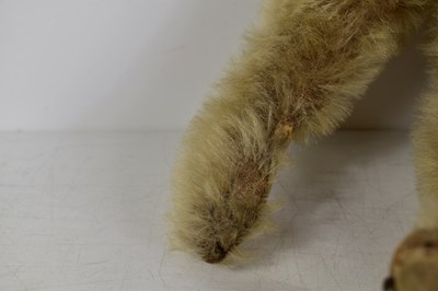 Lot 110 - A vintage Steiff teddy bear, bearing original...