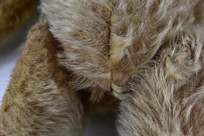 Lot 110 - A vintage Steiff teddy bear, bearing original...