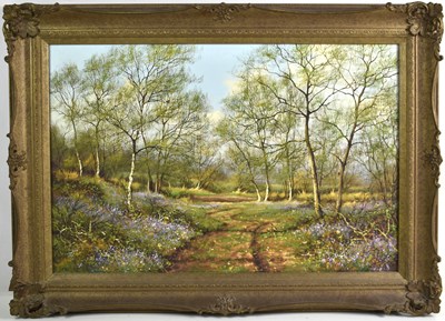 Lot 477 - James Wright (b.1935): Woodland scene with...