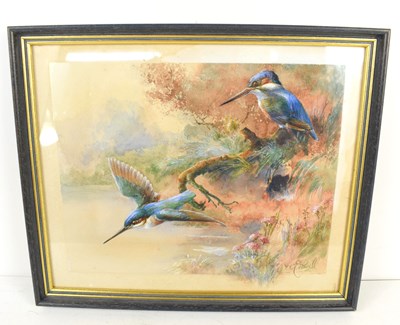 Lot 474 - E. Powell (Early 20th century): Kingfishers,...