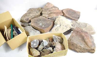 Lot 279 - A large selection of excavated stone...