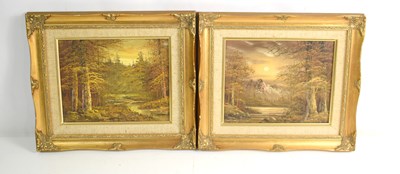 Lot 457 - A pair of oil on canvas paintings depicting...