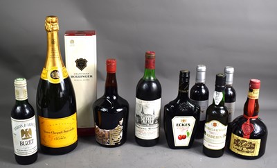 Lot 255 - A selection of alcohol, including a Magnum...