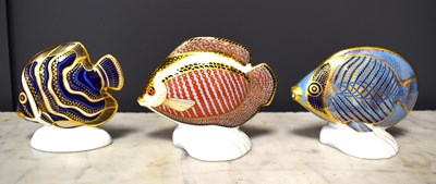 Lot 56 - Three Royal Crown Derby paperweights of...
