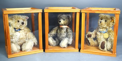 Lot 229 - A collection of three Steiff bears with medals...