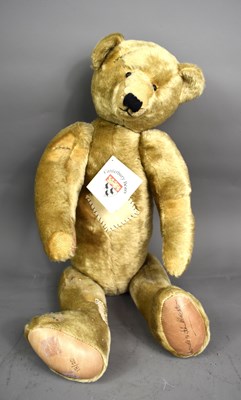 Lot 223 - A Canterbury growler bear ltd edition 18/20,...